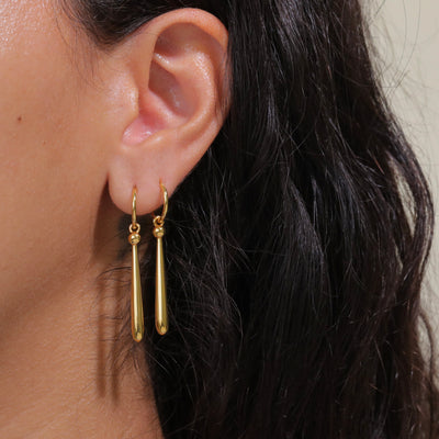 Zoro's Earring