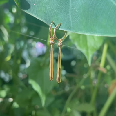 Zoro's Earring